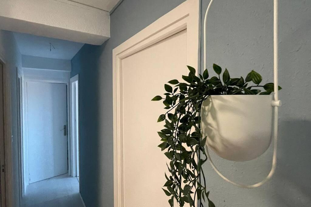 Apartment Lux&cool Zapillo